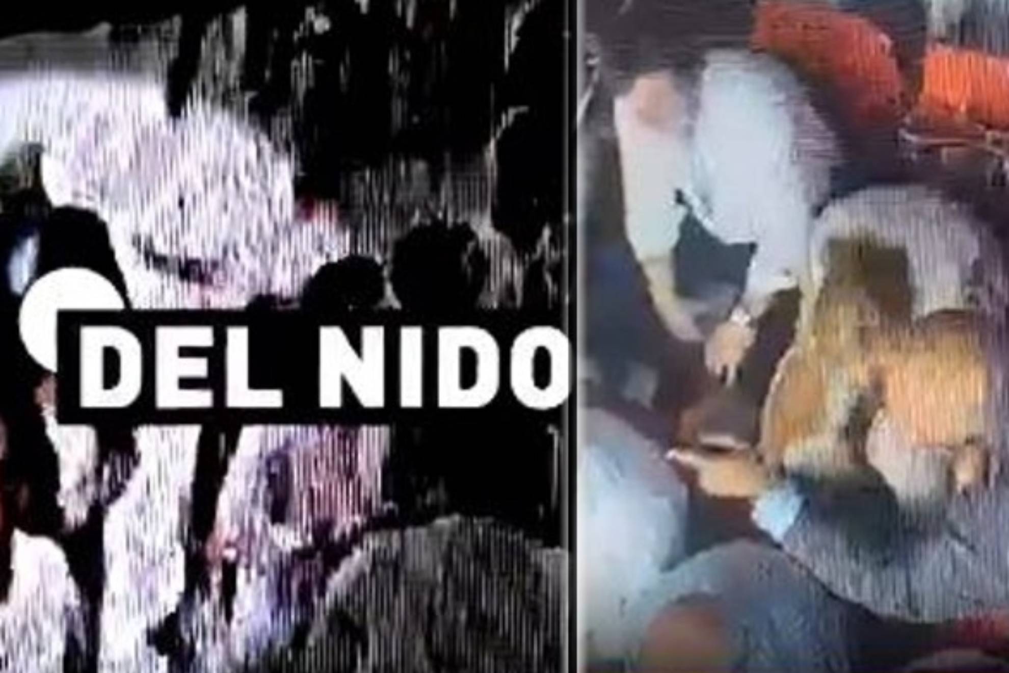 在主场比赛 在主场比赛