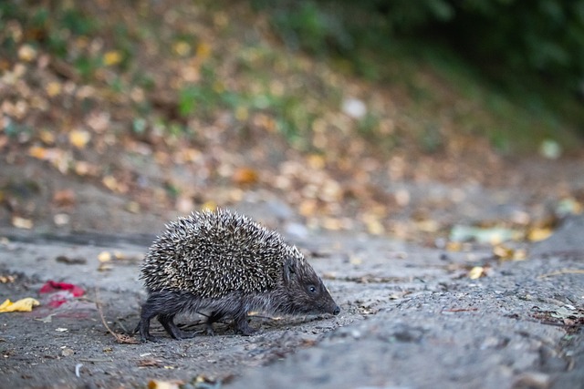理的角度出 理的角度出