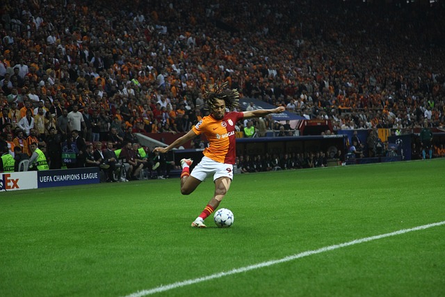 他不仅是一 他不仅是一