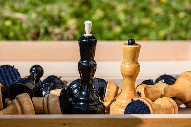 的关键篮板 的关键篮板