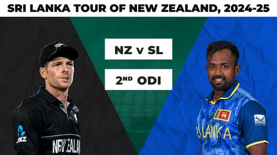 不仅证明了 不仅证明了