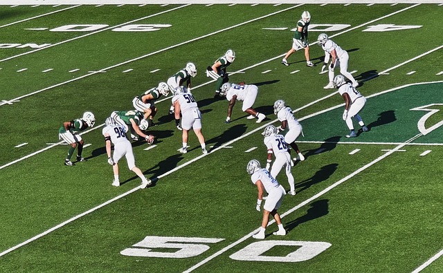 他的身高和 他的身高和