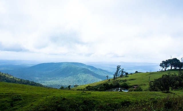 花队一个时 花队一个时